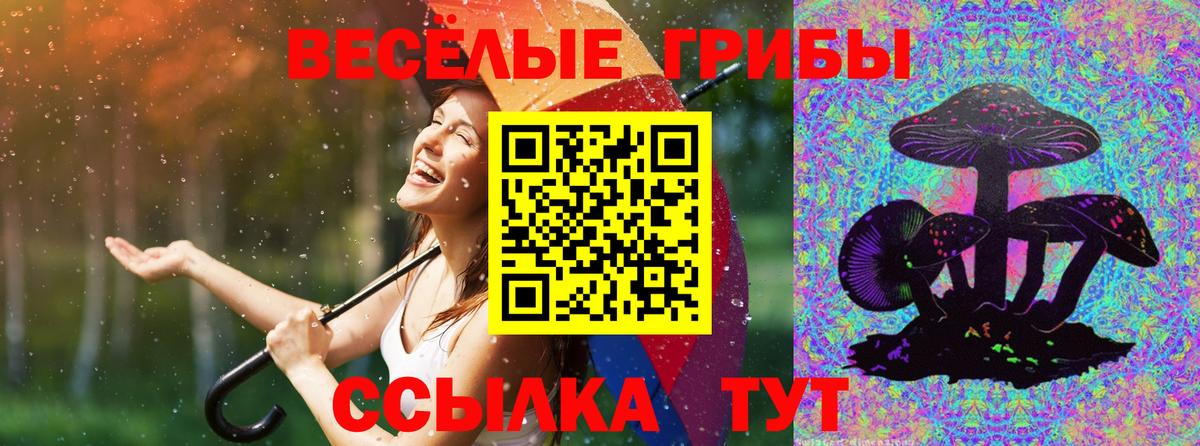 Псилоцибиновые грибы мухоморы Клин